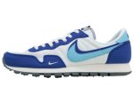 画像1: Air Pegasus 83 SAIL/BLUE/GRAY DV0570-100 Nike ナイキ シューズ   【海外取寄】 (1)