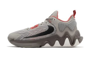 Giannis FREAK 6 Roses White/Red FV1294-100 Nike ナイキ