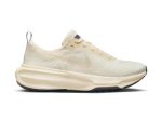 画像1: Invincible 3 Cream/Orewood Brown DR2615-200 Nike ナイキ シューズ   【海外取寄】 (1)