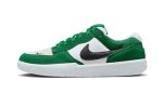 画像1: SB Force 58 Green/White/Black DV5477-300 Nike ナイキ シューズ   【海外取寄】 (1)