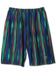 画像1: SUMMER STRIPE SHORTS GREEN 119-069002 GR AKTR アクター Shorts ショーツ バスパン ウエア  【MEN'S】【SALE商品】 (1)