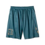 画像1: UNECAGED MESH SHORTS BLUE 223-062002 BL AKTR アクター Shorts ショーツ バスパン ウエア  【MEN'S】 (1)