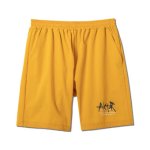 画像1: AEROSTEAM LOGO 8.5-INCH SHORTS YELLOW 223-006002 YL AKTR アクター Shorts ショーツ バスパン ウエア  【MEN'S】【SALE商品】 (1)