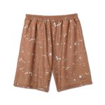 画像1: SPLASH 8.5-INCH SHORTS ORANGE 223-009002 OR AKTR アクター Shorts ショーツ バスパン ウエア  【MEN'S】【SALE商品】 (1)