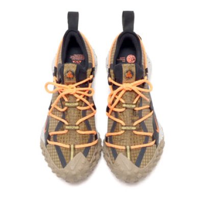 画像1: ACG Mountain Fly Low Gore-Tex  SE Brown DD2861-200 Nike ナイキ ゴアテックス シューズ   【海外取寄】