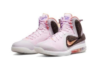 画像1: Lebron 9  PINK/VELVET BROWN DJ3908-600 Nike ナイキ ベルベット シューズ  レブロン ジェームス 【海外取寄】