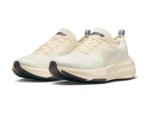 画像2: Invincible 3 Cream/Orewood Brown DR2615-200 Nike ナイキ シューズ   【海外取寄】 (2)