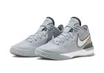 画像2: Zoom LeBron NXXT GEN  WOLF GRAY/METALIC GLD DR8788-004 Nike ナイキ シューズ  レブロン ジェームス 【海外取寄】 (2)