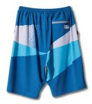 画像2: CUTTING GLOW SHORTS Blu 118-002002 BL AKTR アクター Shorts ショーツ バスパン ウエア  【MEN'S】【SALE商品】 (2)