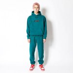 画像2: LOGO SWEAT PULLOVER HOODIE GREEN 223-018010 GR AKTR アクター パーカー アウトウエア ウエア 秋冬物 【MEN'S】【SALE商品】 (2)