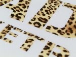 画像3: DADA Big Logo Tee Wht/Leopard DA10-002L WHT DADA ダダ ビッグ　ロゴ Tシャツ ウエア  【MEN'S】 (3)