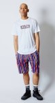 画像3: SUMMER STRIPE SHORTS L-RED 119-069002 LRD AKTR アクター Shorts ショーツ バスパン ウエア  【MEN'S】【SALE商品】 (3)