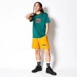 画像3: AEROSTEAM LOGO 8.5-INCH SHORTS YELLOW 223-006002 YL AKTR アクター Shorts ショーツ バスパン ウエア  【MEN'S】【SALE商品】 (3)