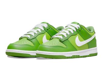 Dunk Low Retro GS Kermit/Chlorophyll Green/White DH9765-301 Nike ãã¤ã­ ã«ã¼ããã/ã¯ã­ã­ãã£ã« ã·ã¥ã¼ãº ãæµ·å¤åå¯ããGSãã­ããº
